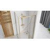 Rea drzwi prysznicowe 100x195 Rapid Swing Gold