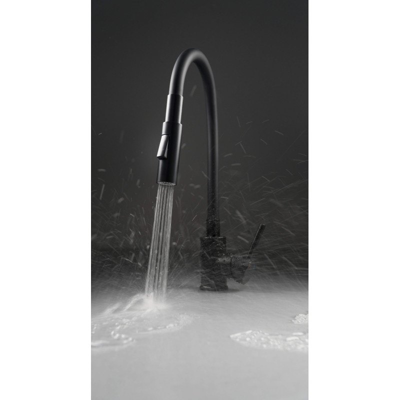 Deante bateria Luno nero zlewozmywakowa z giętą wylewką z słuchawką 2-funkcyjną