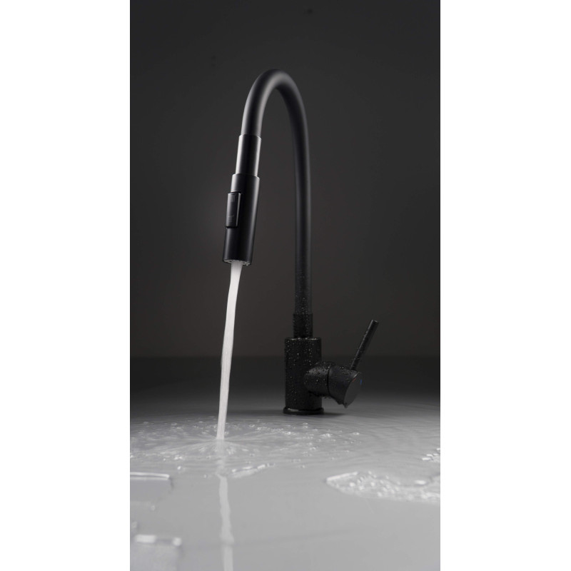 Deante bateria Luno nero zlewozmywakowa z giętą wylewką z słuchawką 2-funkcyjną