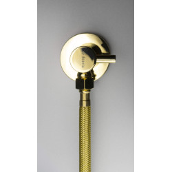 Deante wężyki przyłączeniowe 3/8 na m10 długość 40 cm 2 szt. gold