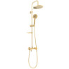 Rea zestaw natryskowy Luis złoty