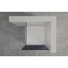 Invena ścianka walk-in ii 120x200cm grafit 8mm shiny-glass czarna