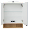 Astor Lustrzana Szafka Astor Nelle 60 cm, LED & Gniazdko, drewno