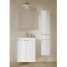 Zestaw szafka wisząca łazienkowa z umywalką Cersanit OVIDA 50 biała