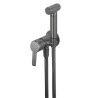 Deante Arnika bateria bidetowa podtynkowa titanium