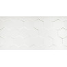 Biała Płytka Ścienna Hexagon 30x60 - Połyskowy Hit Designu!