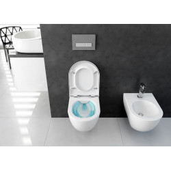 Nowoczesna Miska WC Peonia Zero - Komfort i Styl w Twojej Łazience!