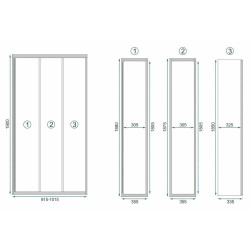 Drzwi prysznicowe Alex Black 100 - Elegancja i Funkcjonalność w Twojej Łazience