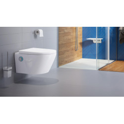 Riko szczotka wc wisząca szklana, chrom