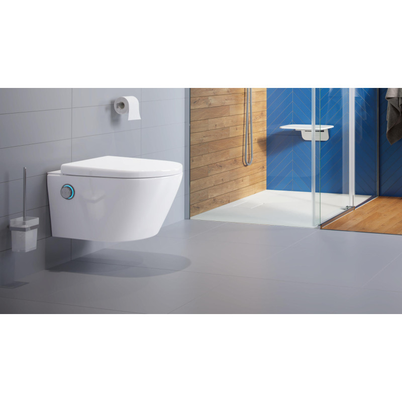 Riko szczotka wc wisząca szklana, chrom