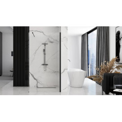 Elegancka Ścianka Prysznicowa AERO INTIMO BLACK 120 cm - Styl i Funkcjonalność