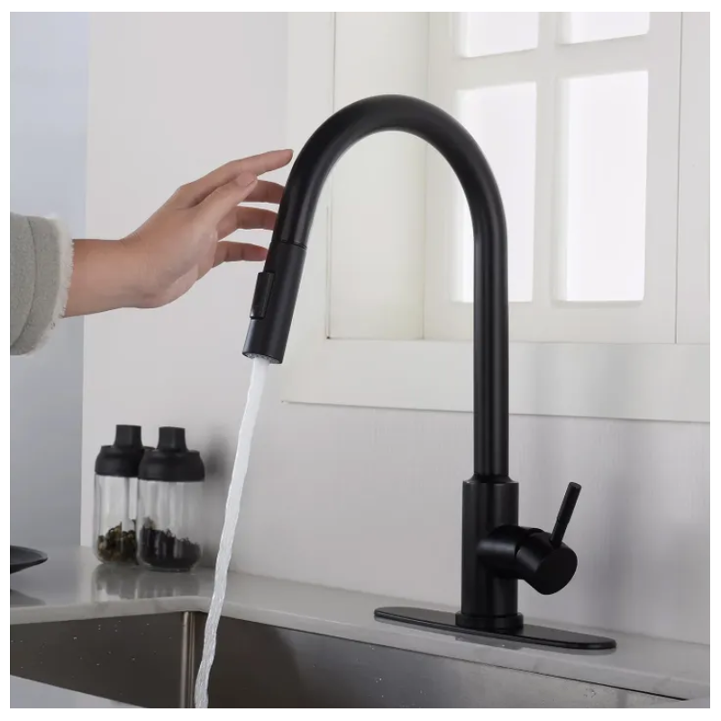 Rea Fresh - Nowoczesna Bateria Kuchenna z Wyciąganą Wylewką, Czarna Elegancja