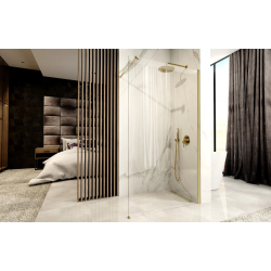 Elegancka Ścianka Prysznicowa Aero Brush Gold 120 cm - Luksusowa Prostota w Każdej Łazience!