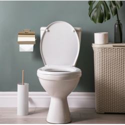 Elegancki Wieszak na Papier, OSTE 05 Złoty Mat - Styl i Funkcjonalność w Łazience