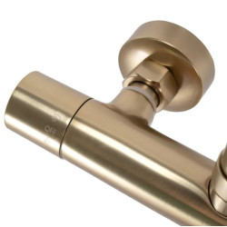 Ekskluzywny Zestaw Prysznicowy Parot w Kolorze Złotym z Termostatem