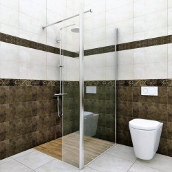 Elegancka Ścianka Prysznicowa z Drzwiami VERTISSO CARLO 100