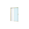 Rols drzwi prysznicowe przesuwne 100 cm element drzwi 1/2, złoty połysk