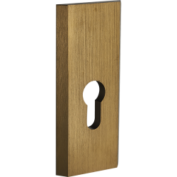 Elegancki szyld z patyną do drzwi zewnętrznych - podłużny z wkładką, aluminium 117x50 mm