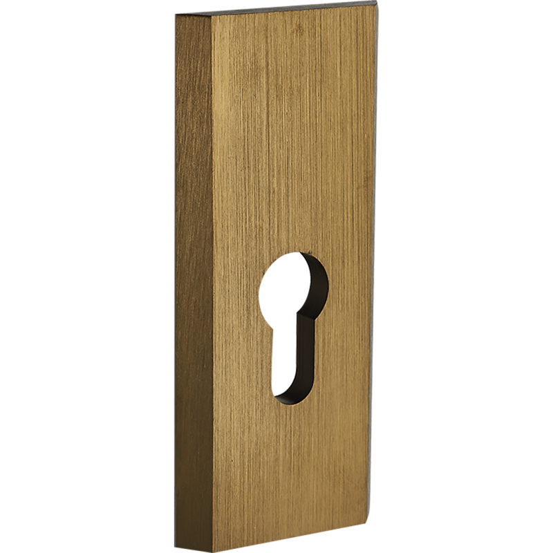 Elegancki szyld z patyną do drzwi zewnętrznych - podłużny z wkładką, aluminium 117x50 mm