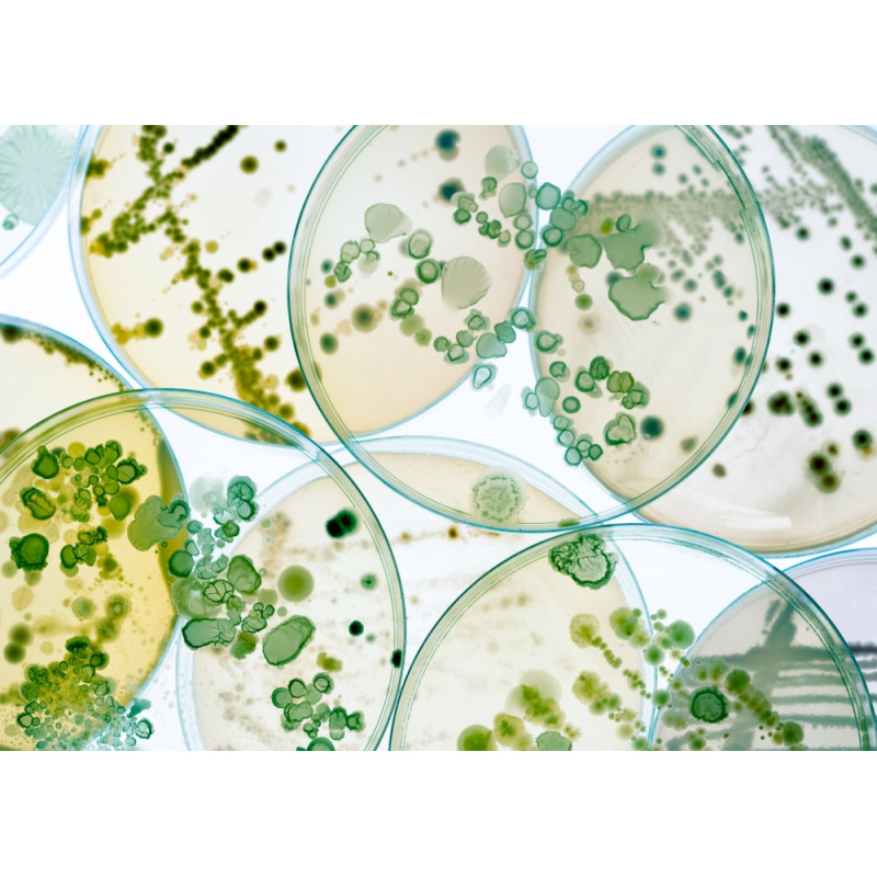 Schedline Brodzik kompozytowy Stabilsound Plus® Protos Cashemere Stone 70x120x3,5 cm, prostokątny, Gwarancja 15 lat